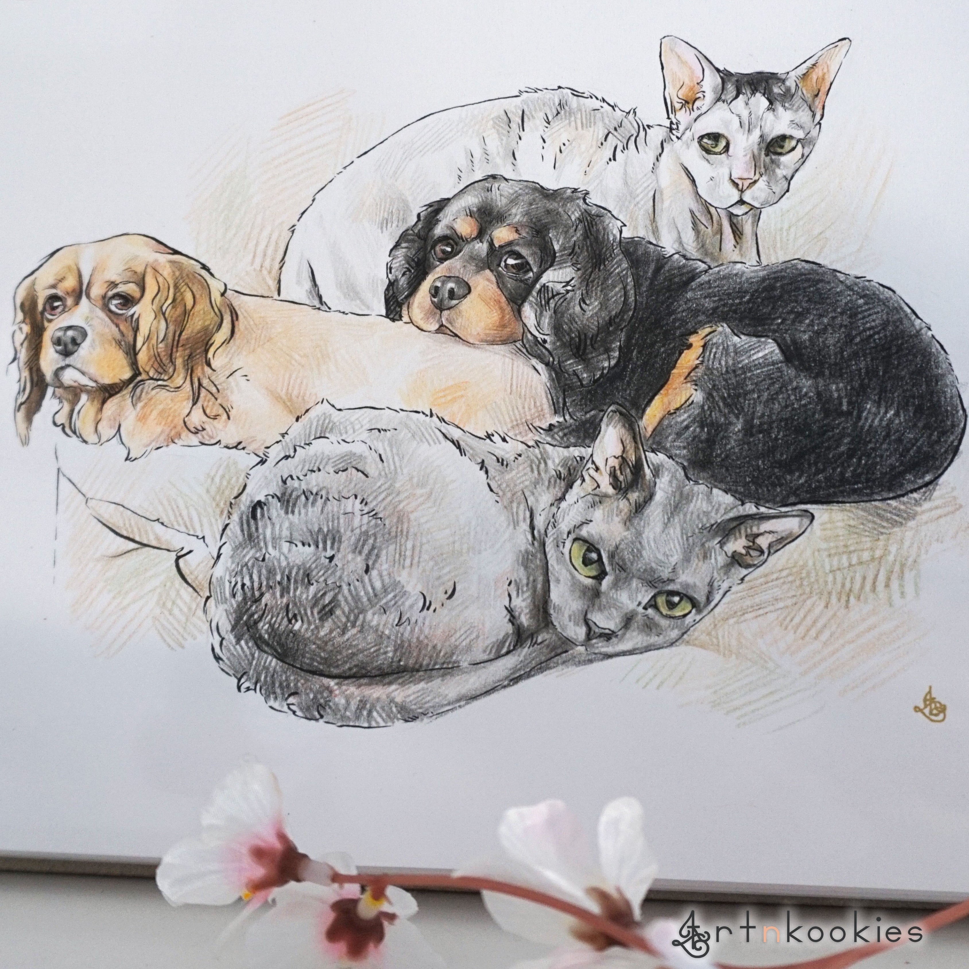 5 X 7 in Custom Pet 2024 Portrait ** FREE SHIPPING** Pen and ink drawing Cat Dog Fur Baby