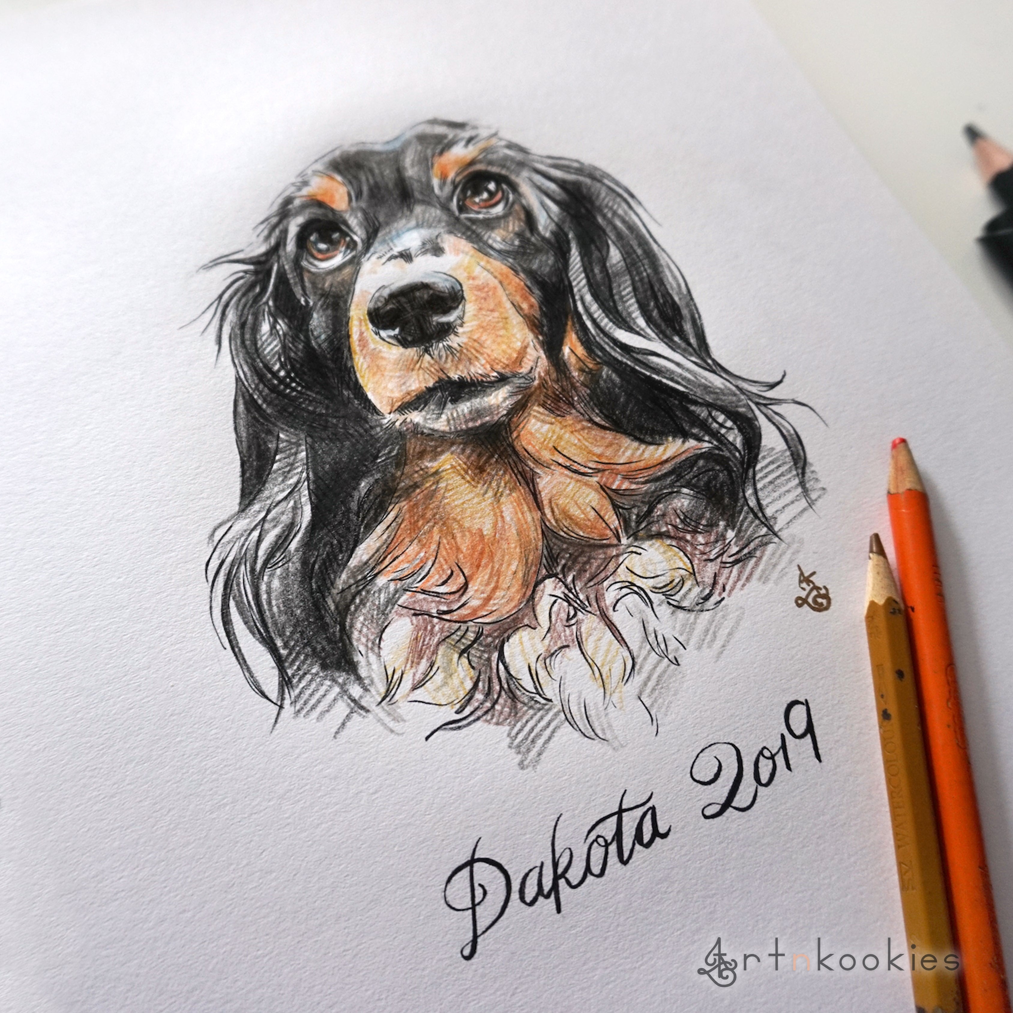 Dog Pencil Drawing by Josue117 on DeviantArt
